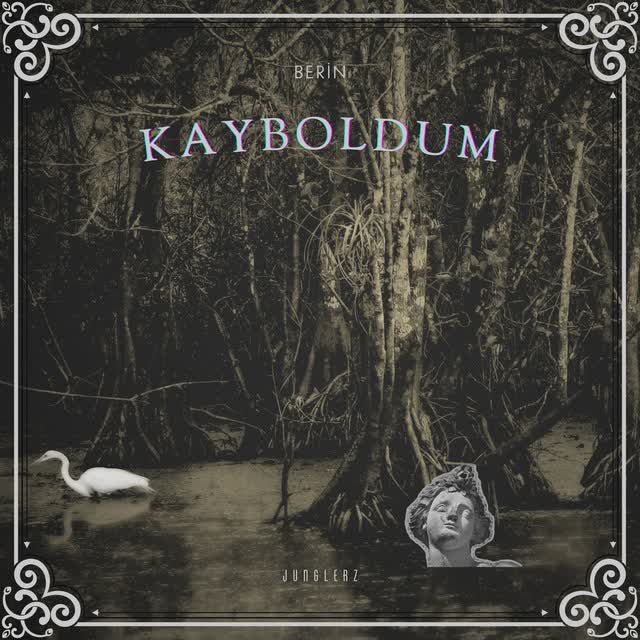 Özcan Kızıl - Hasar